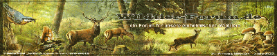 Wildtierforum